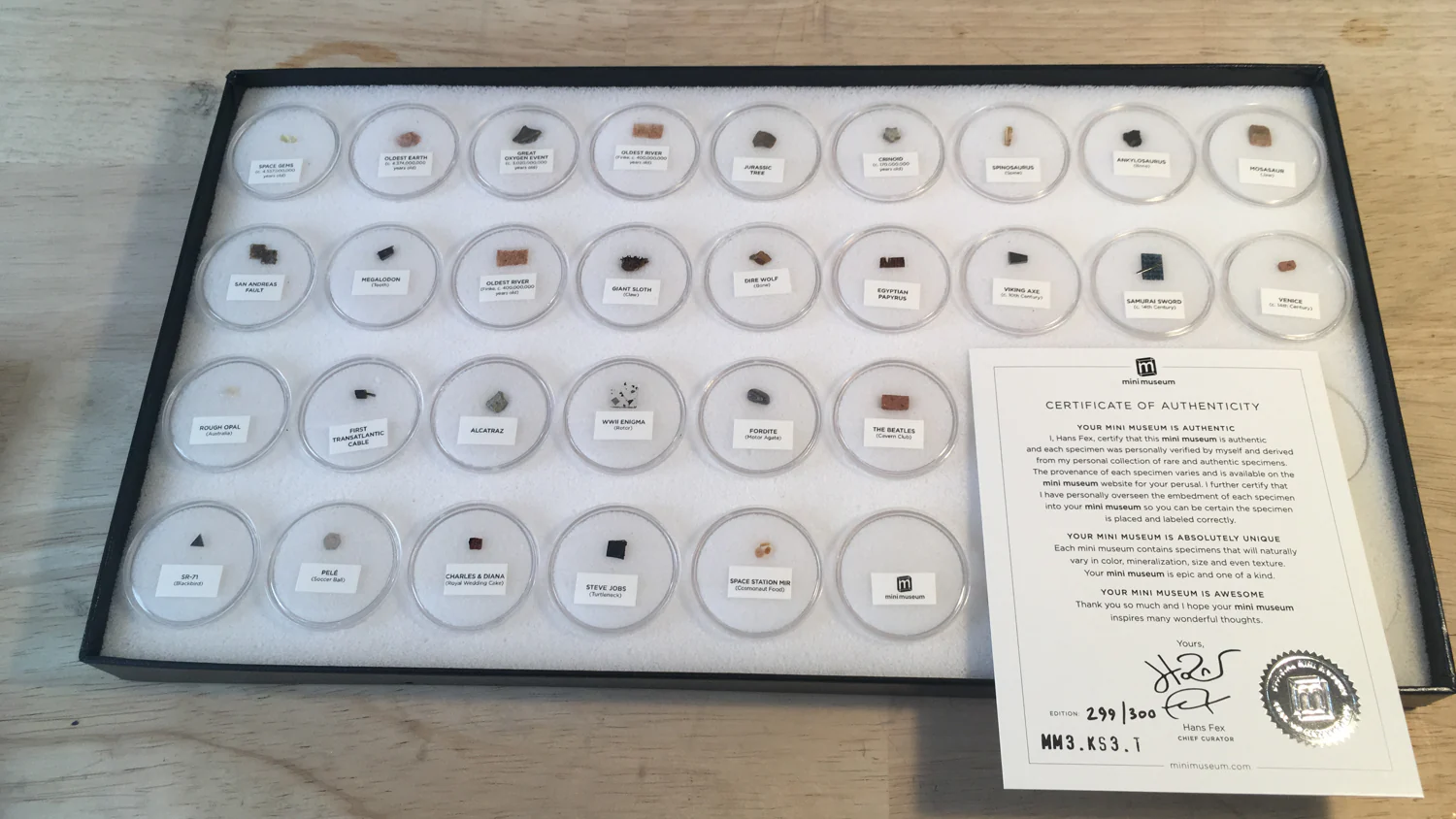 Mini Museum - Third Edition (TOUCH - 29 Specimens) - Image 7