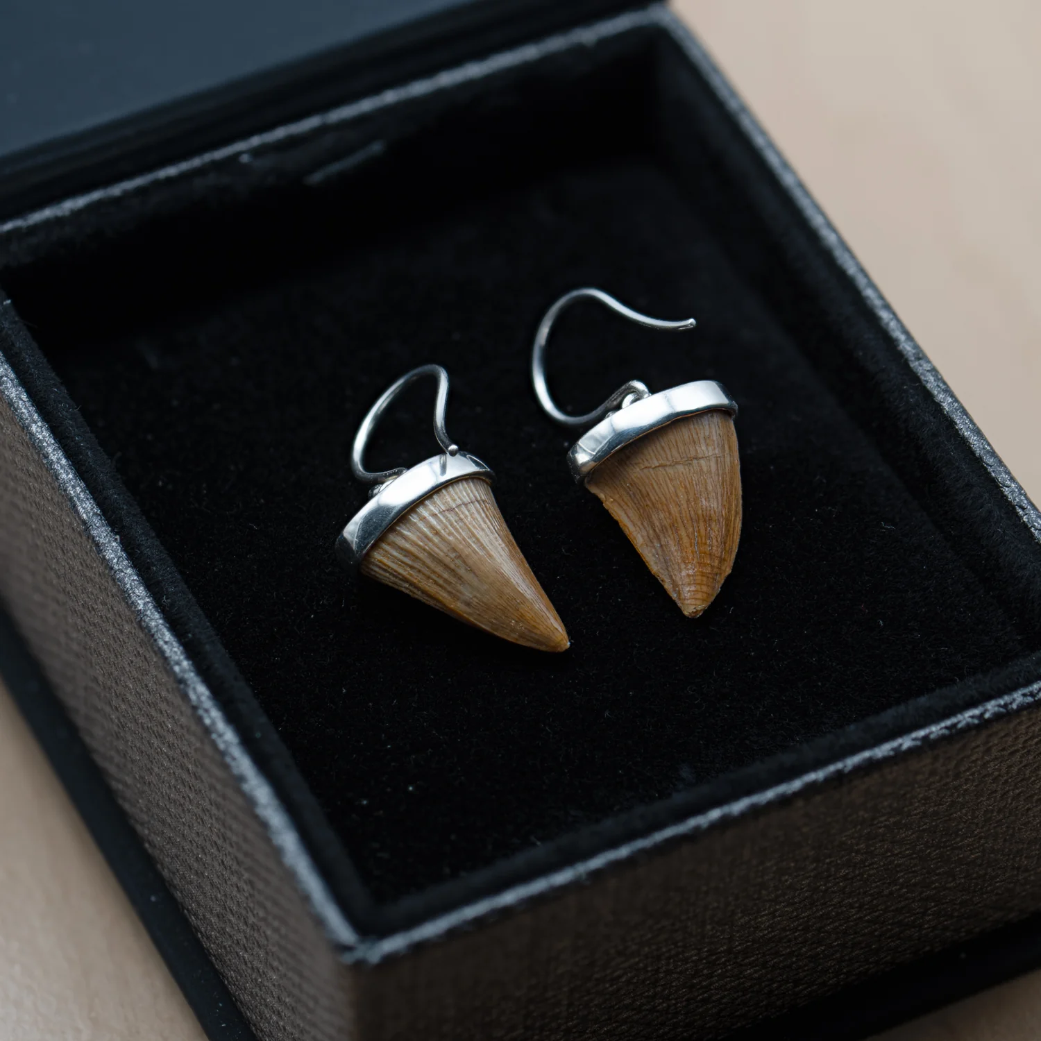 Mosasaur Tooth Jewelry - Image 3
