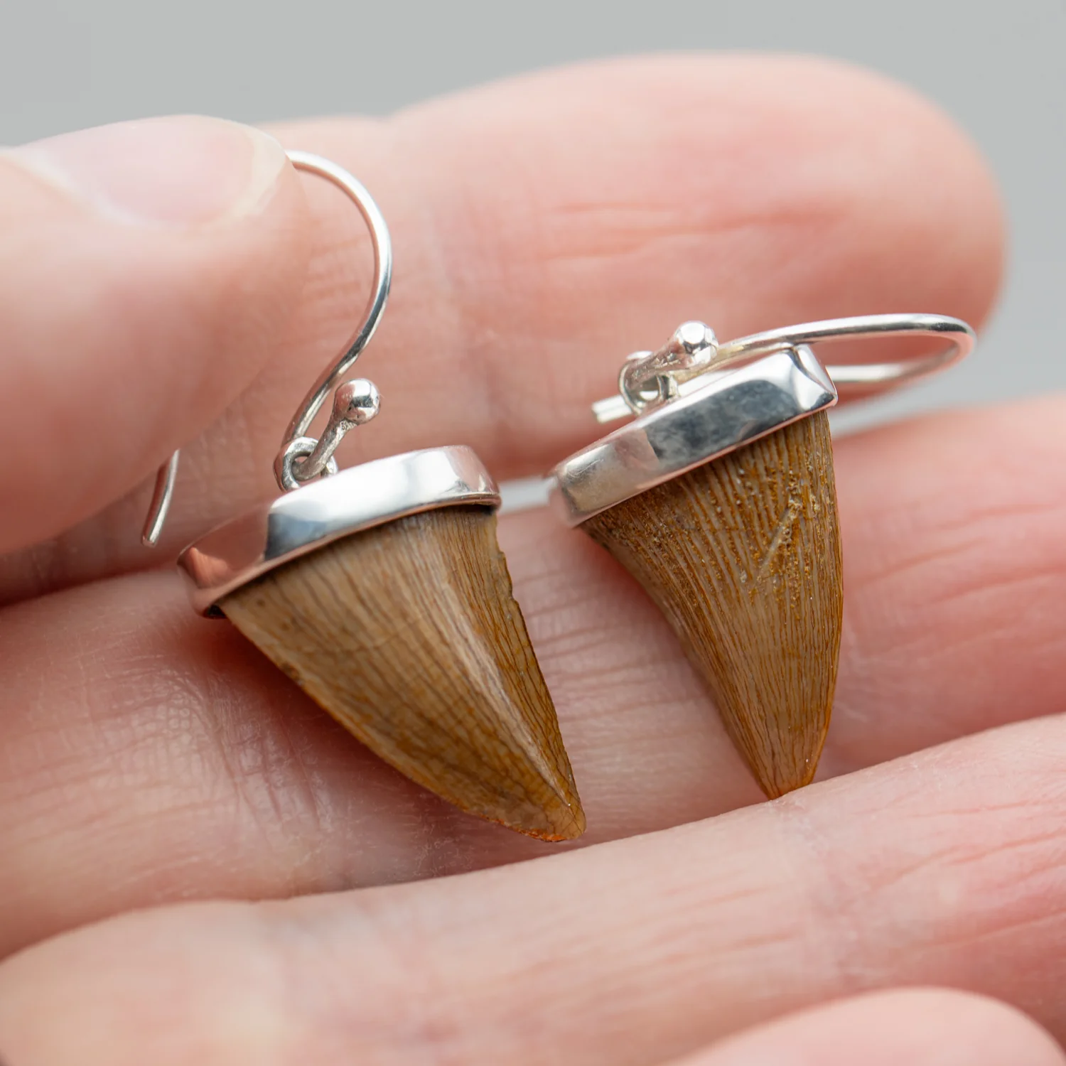 Mosasaur Tooth Jewelry - Image 4