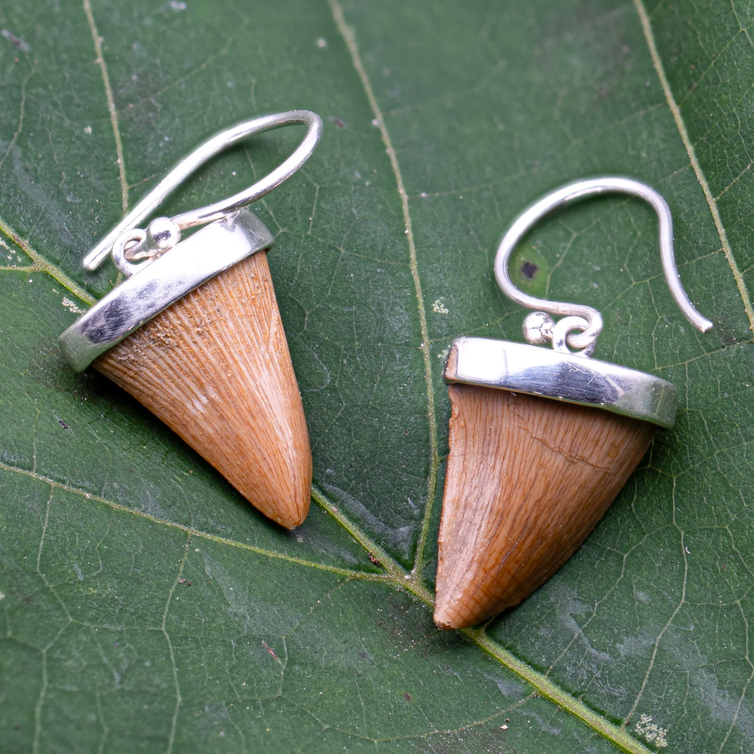 Mosasaur Tooth Jewelry - Image 5