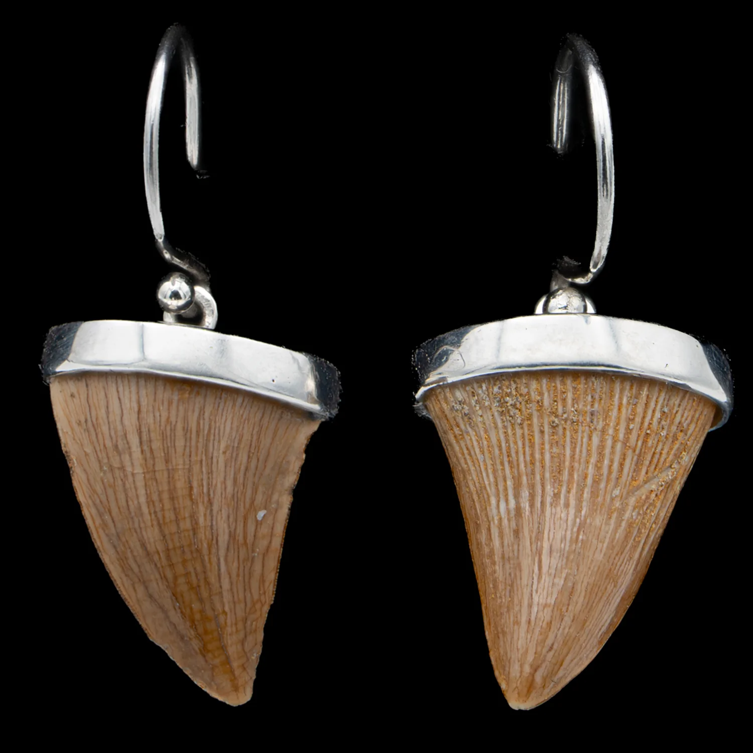 Mosasaur Tooth Jewelry - Image 6