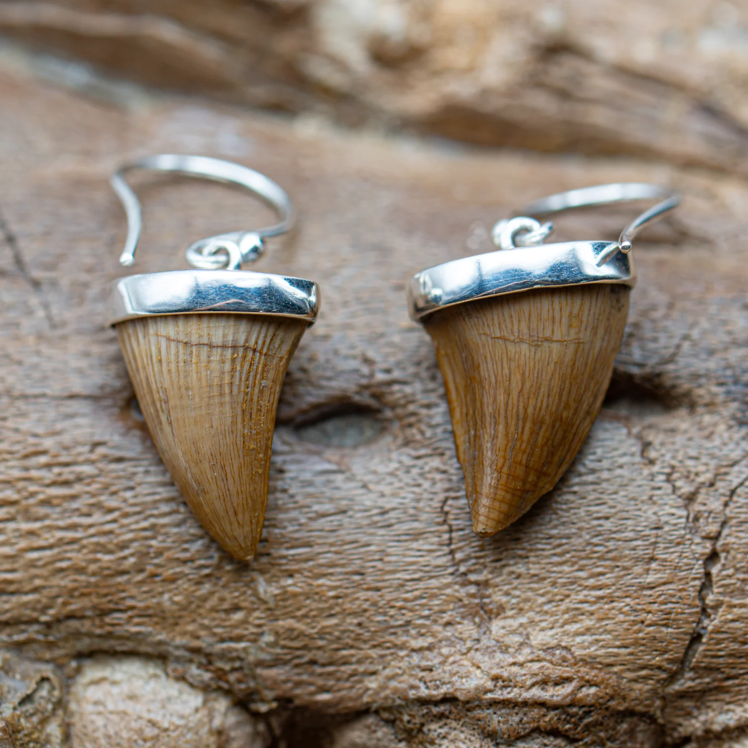 Mosasaur Tooth Jewelry - Image 7