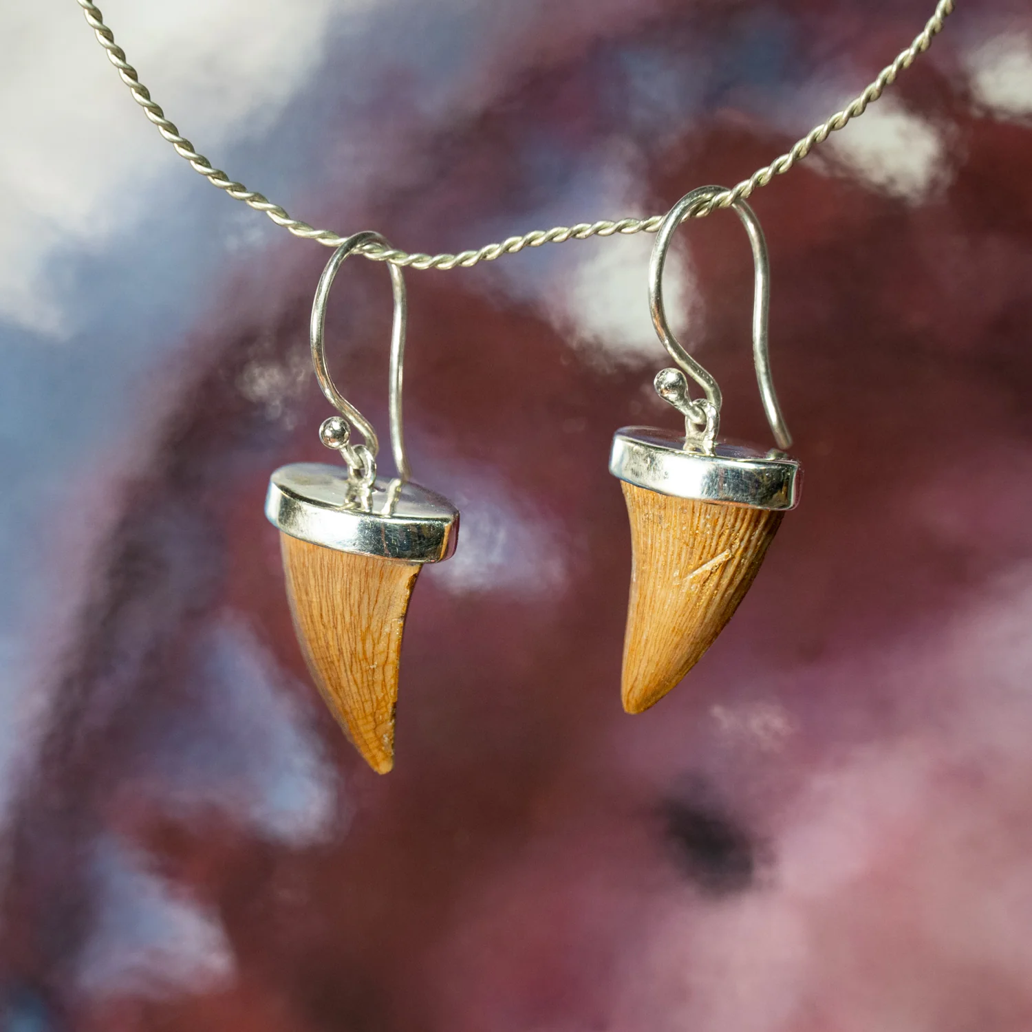 Mosasaur Tooth Jewelry - Image 8