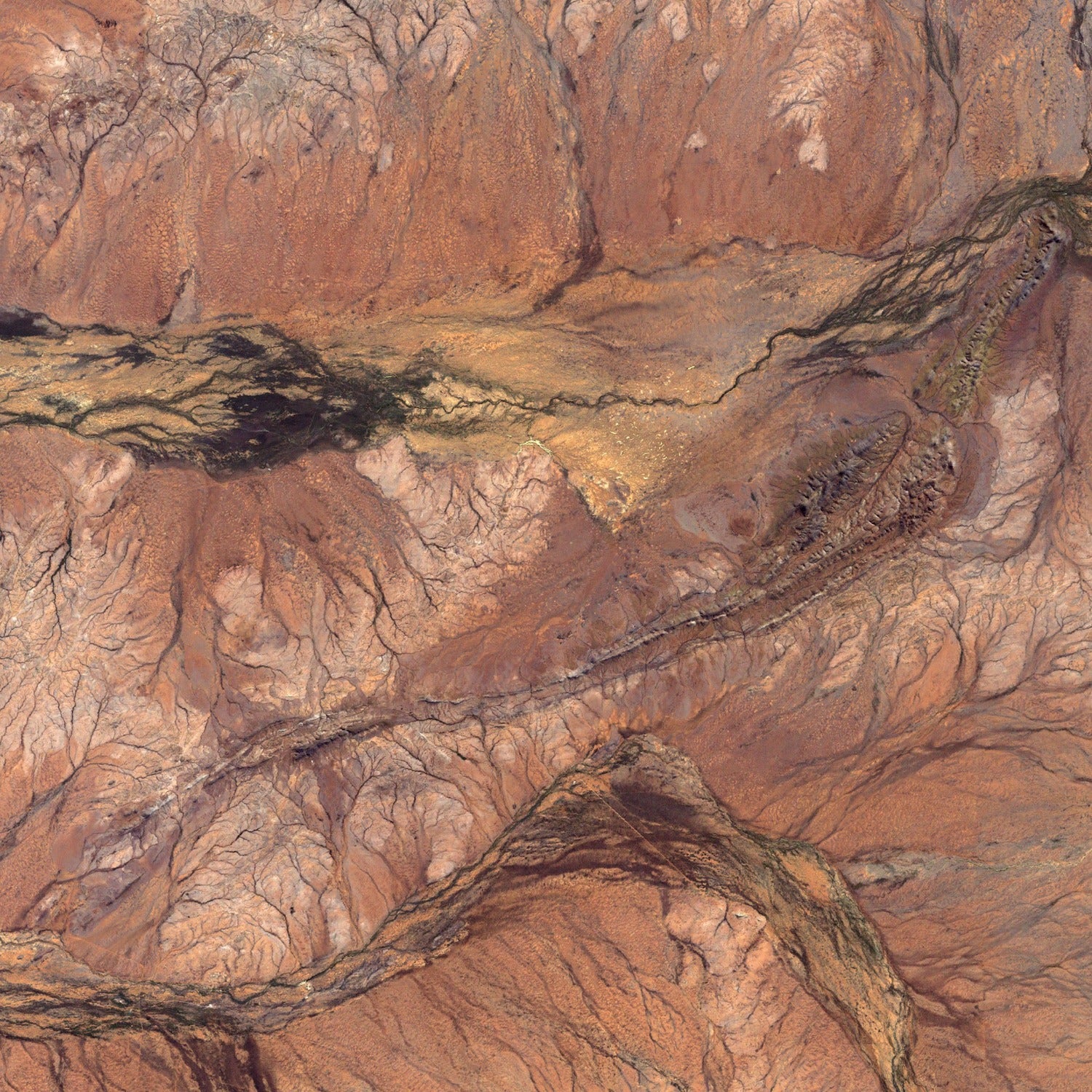 Oldest Earth - Jack Hills Zircon - Classic Riker Box Specimen - Image 3