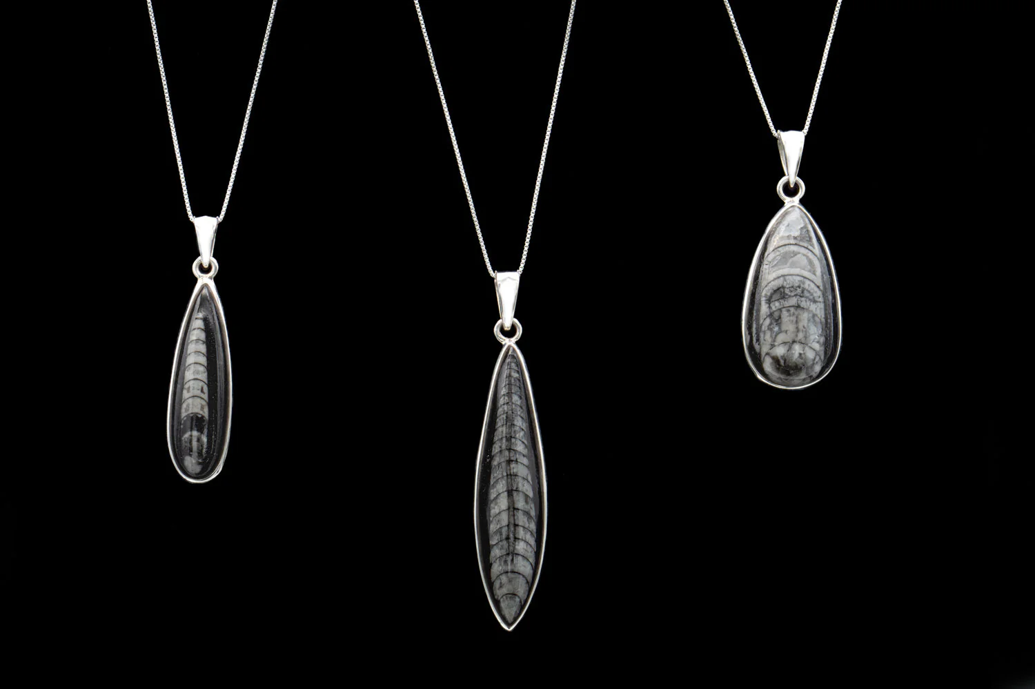 Orthoceras Pendant - Image 5