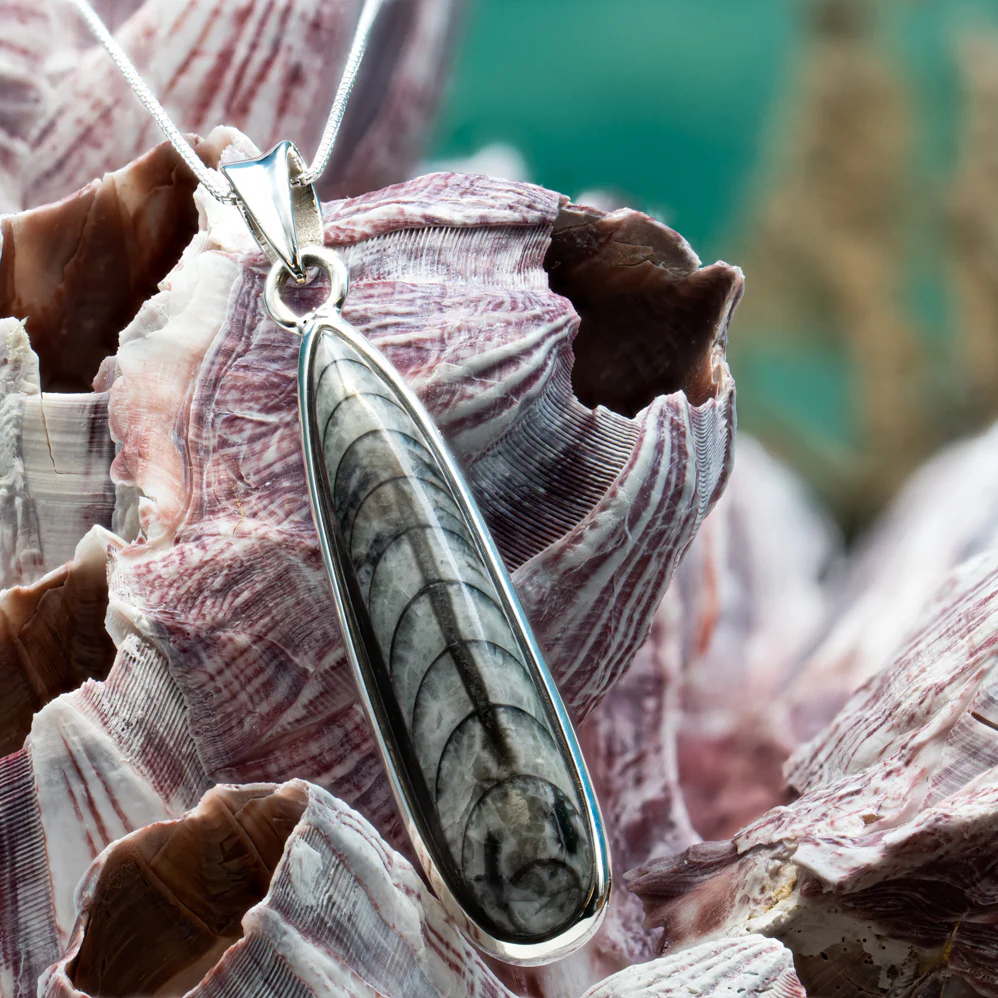 Orthoceras Pendant - Image 6