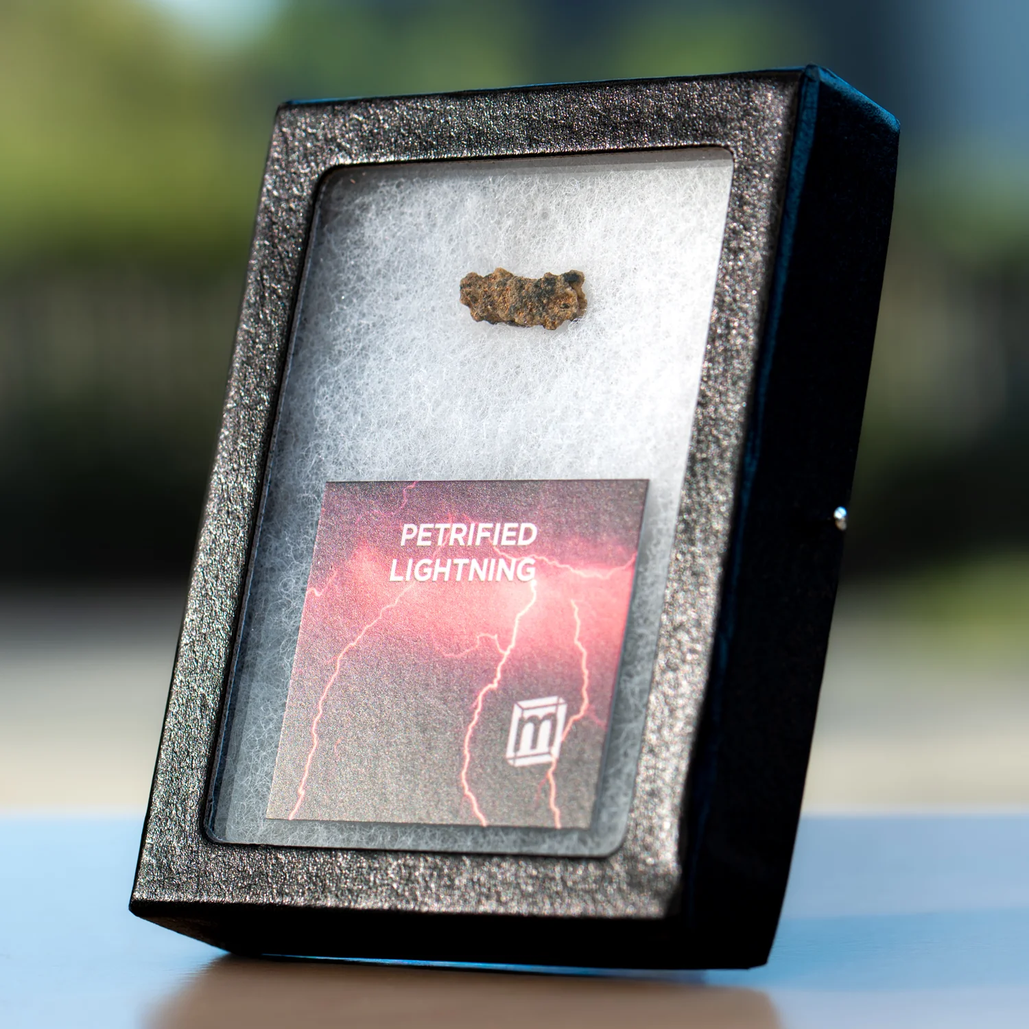 Petrified Lightning - Saharan Fulgurite Riker Box Specimen - Image 3