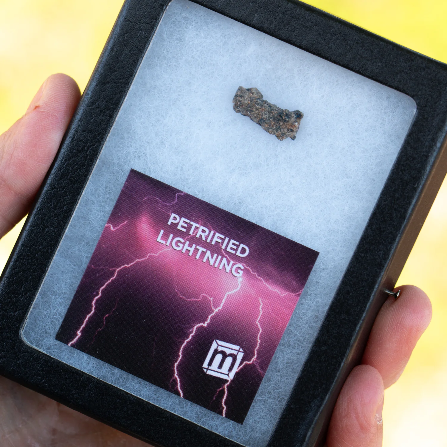 Petrified Lightning - Saharan Fulgurite Riker Box Specimen - Image 4