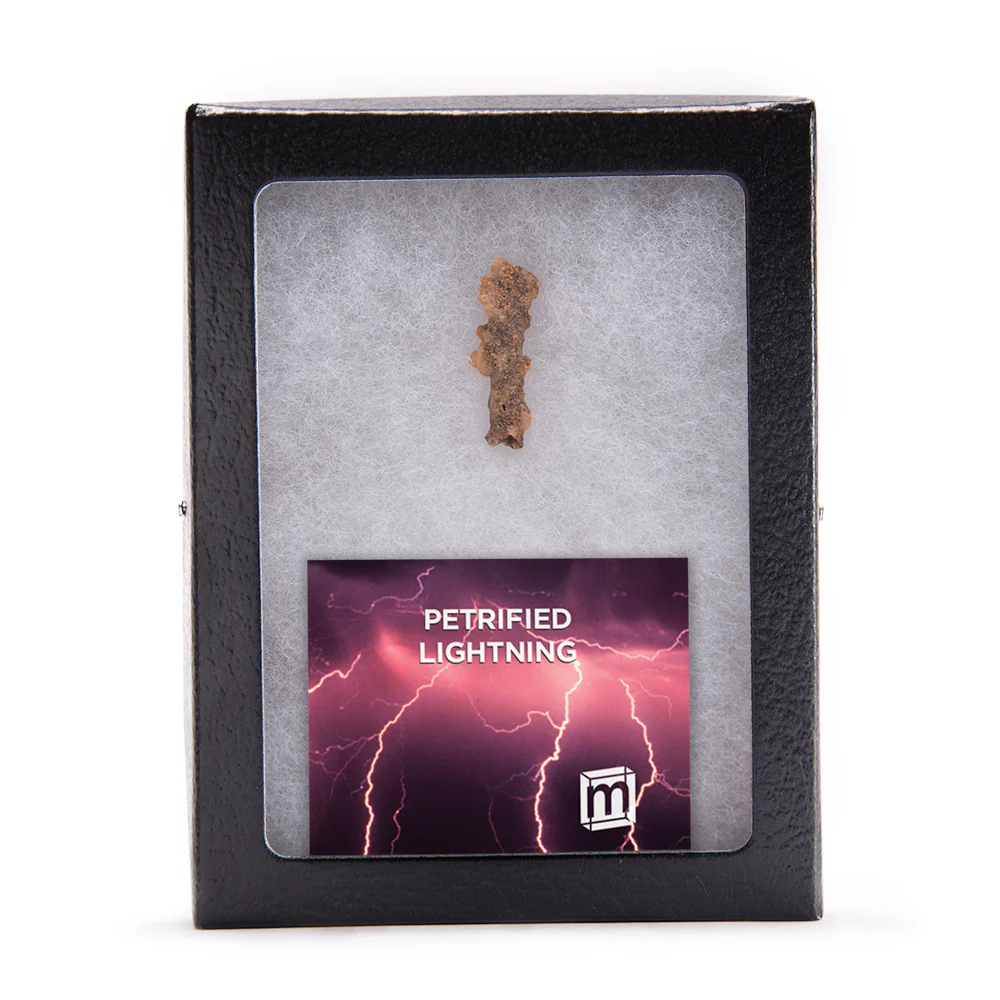 Petrified Lightning - Saharan Fulgurite Riker Box Specimen - Image 5