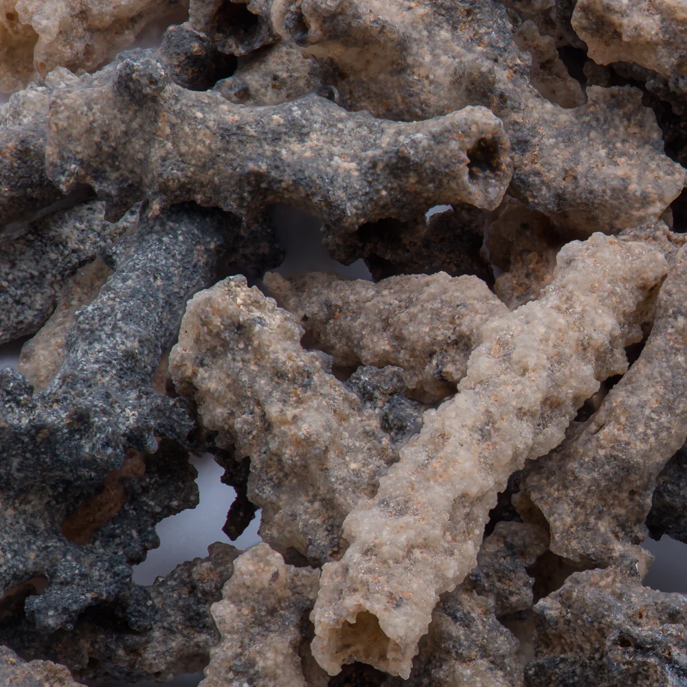 Petrified Lightning - Saharan Fulgurite Riker Box Specimen - Image 6