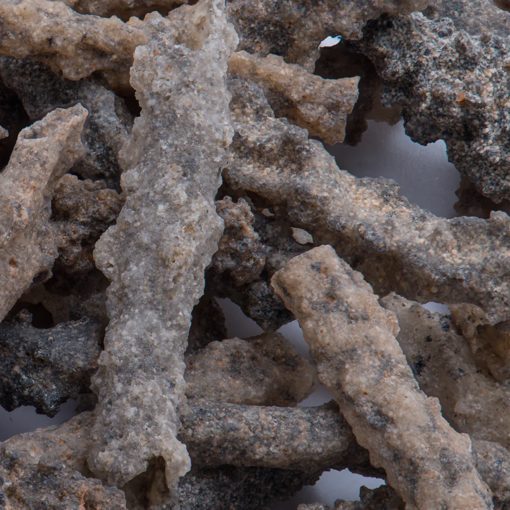 Petrified Lightning - Saharan Fulgurite Riker Box Specimen - Image 7