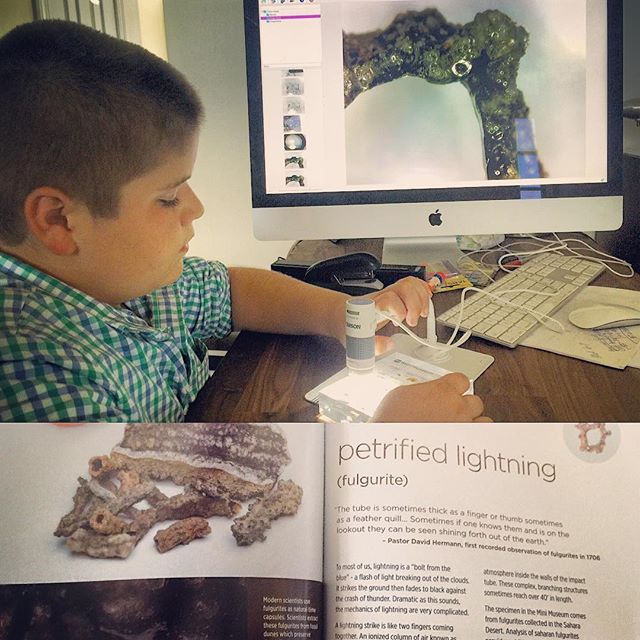 Petrified Lightning - Saharan Fulgurite Riker Box Specimen - Image 8