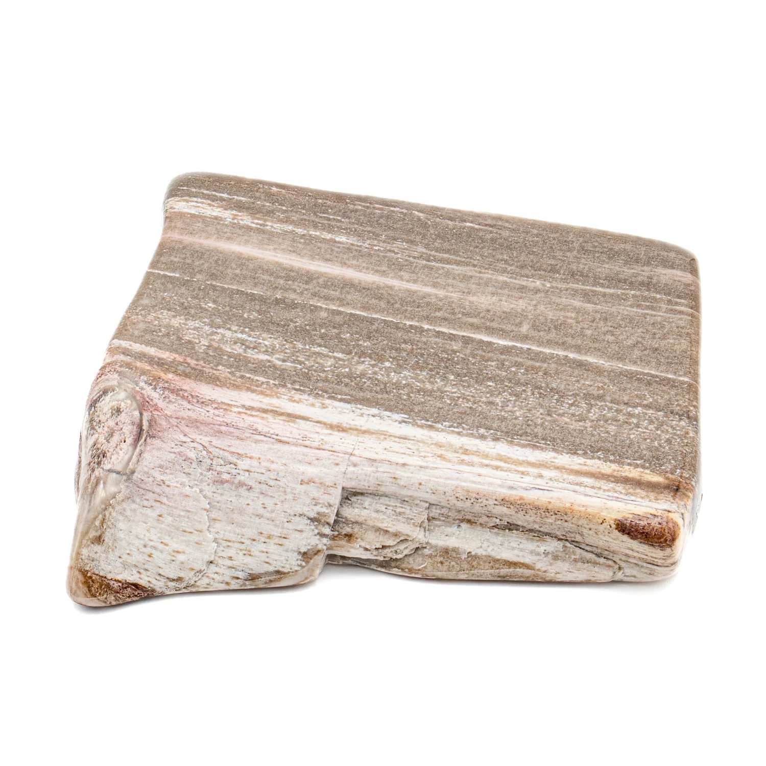 Polished Petrified Wood - 2.13" - Image 3