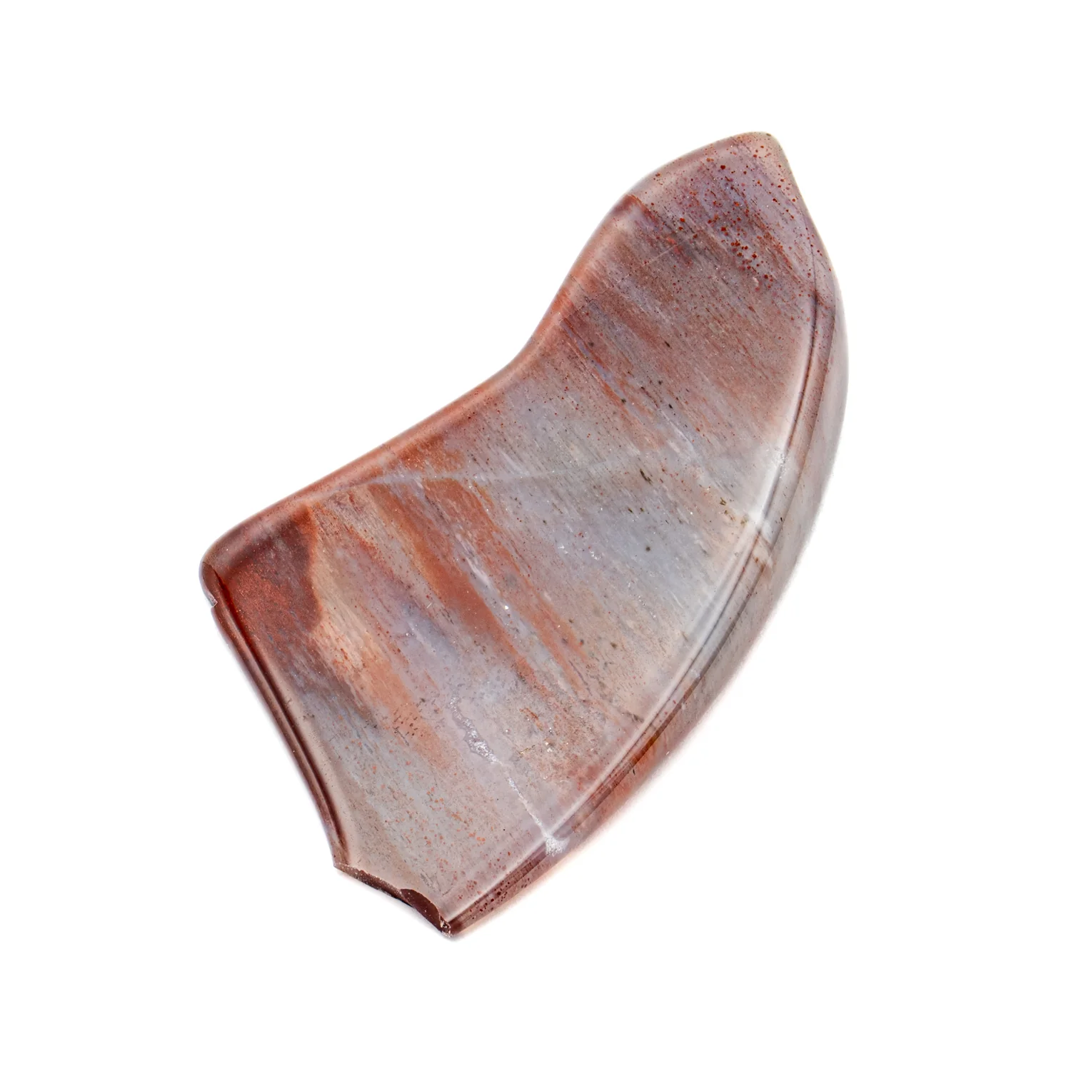 Polished Petrified Wood - 2.53" - Image 3