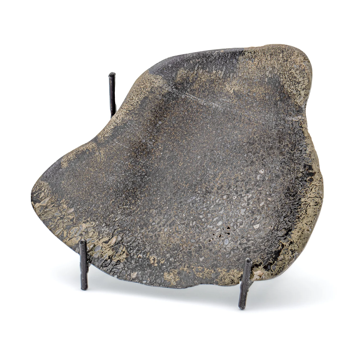 Pyritized Iguanodon Bone 5.73" Cross-Section Slab - Image 3