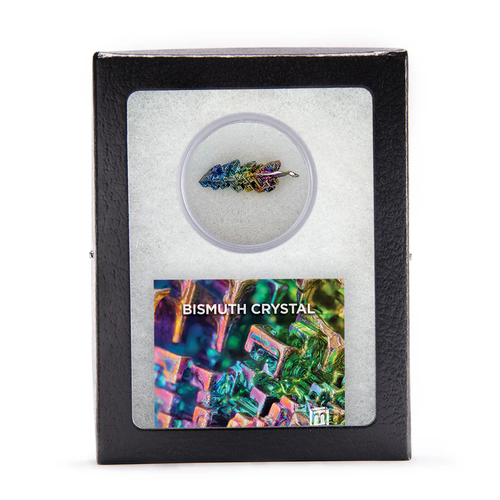 Shiny Treasures Bundle - Gems, Jewels, and Natural Wonder - Image 5