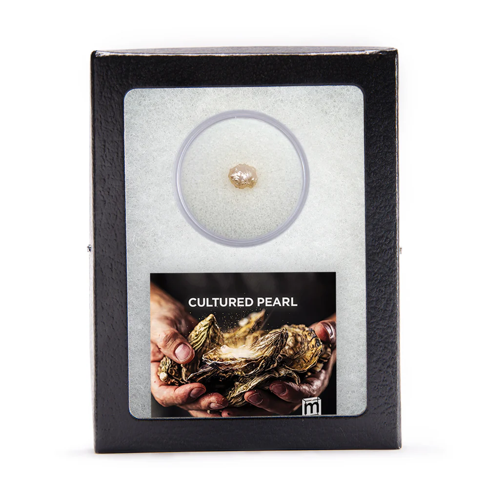 Shiny Treasures Bundle - Gems, Jewels, and Natural Wonder - Image 6