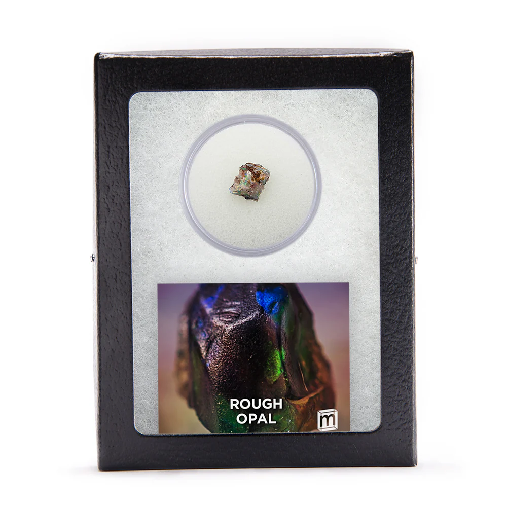 Shiny Treasures Bundle - Gems, Jewels, and Natural Wonder - Image 9