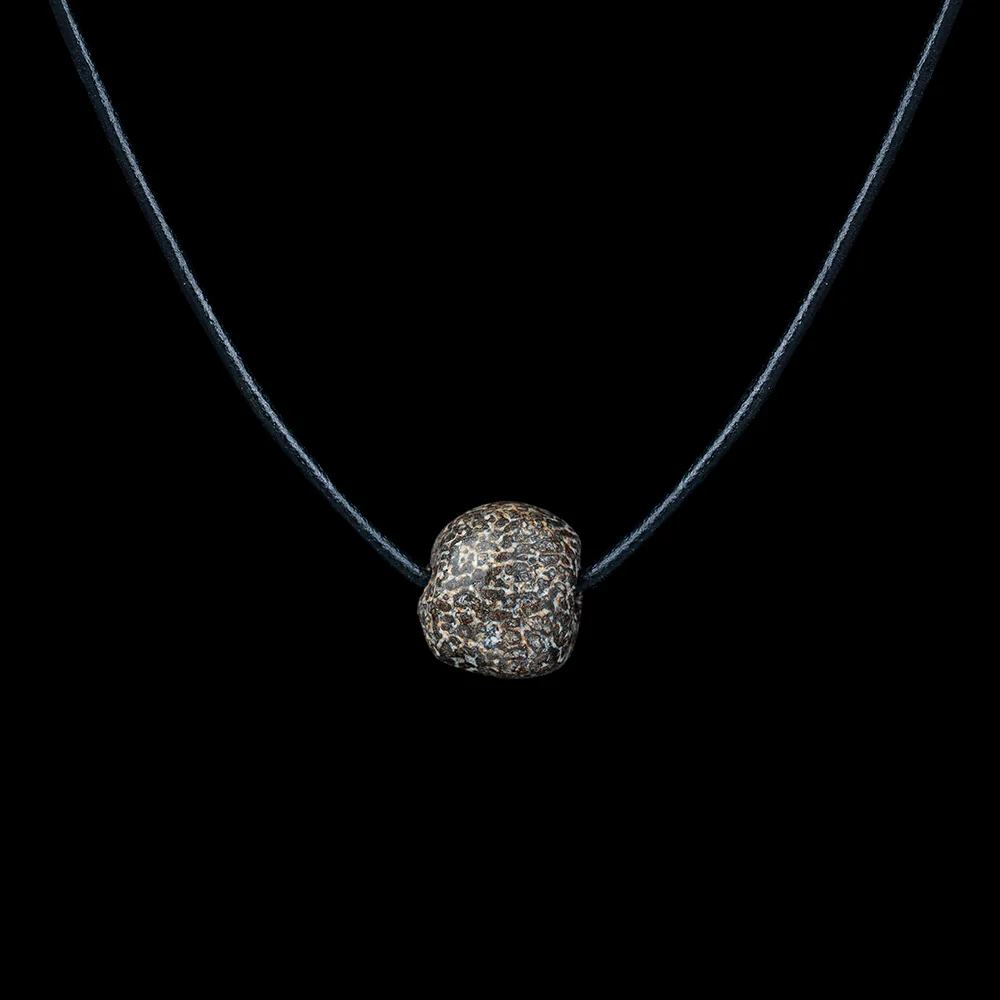 Stegodon Bone Necklace - Image 7