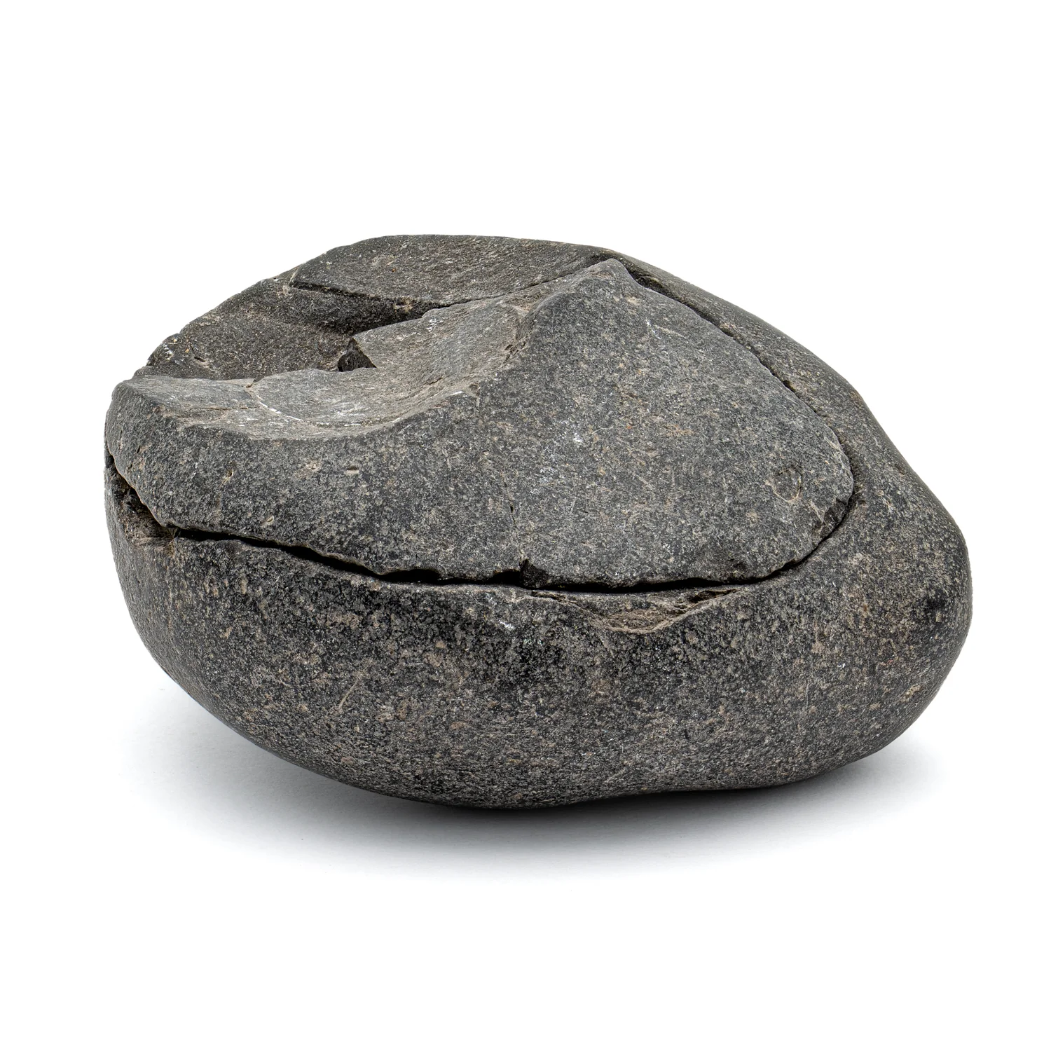 Tethys Ocean Shaligram Fossil - 2.79" Fossil Pair - Image 3