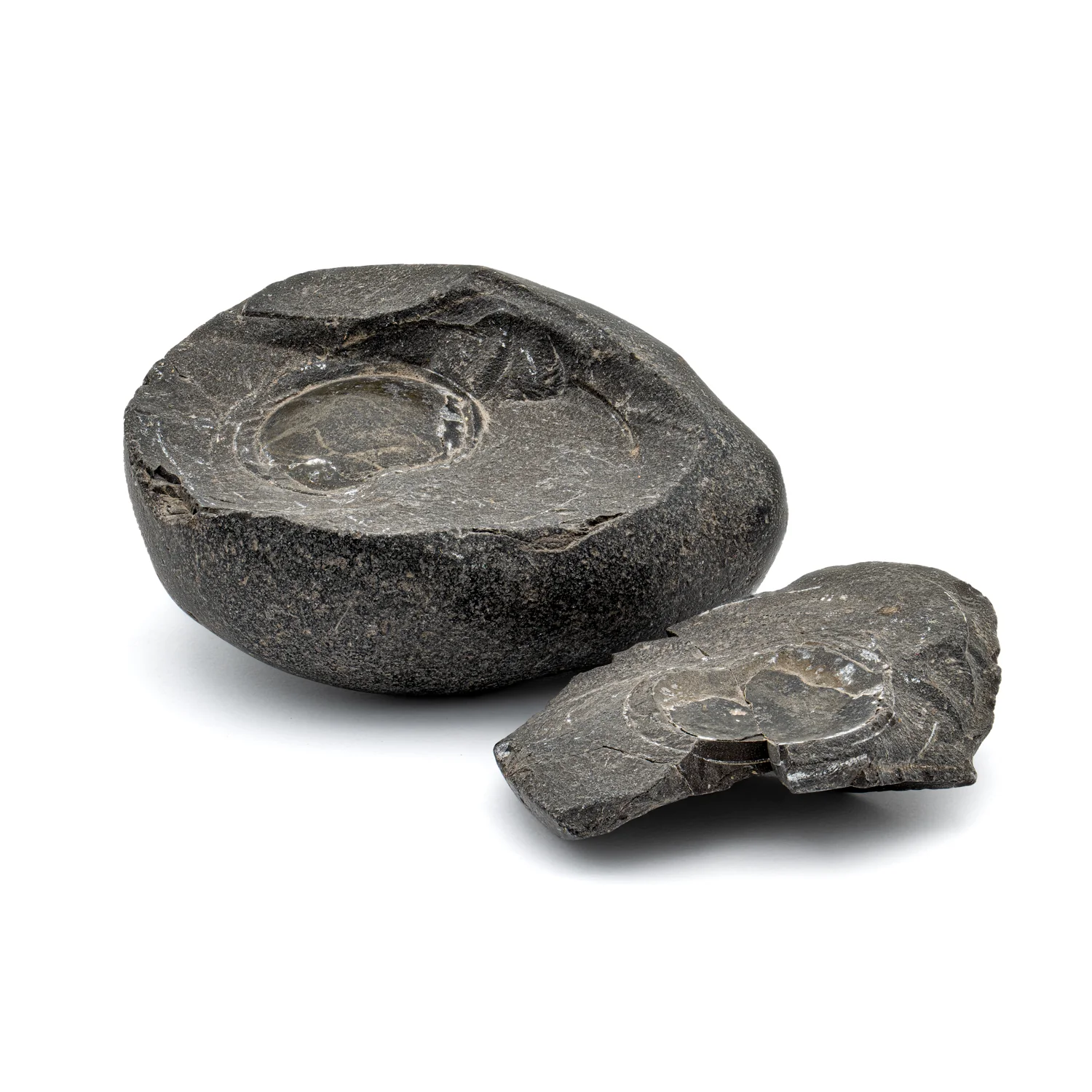 Tethys Ocean Shaligram Fossil - 2.79" Fossil Pair - Image 4
