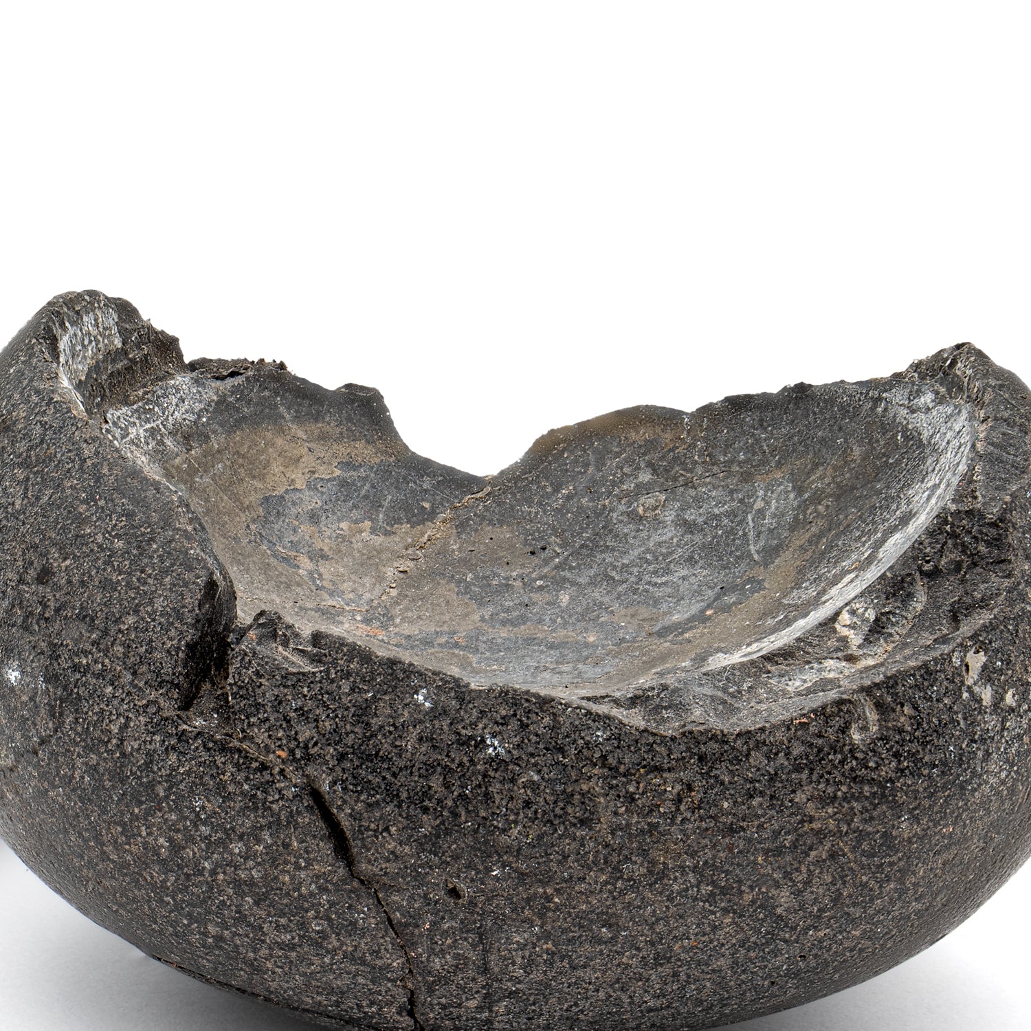 Tethys Ocean Shaligram Fossil - 2.52" Fossil Pair - Image 3