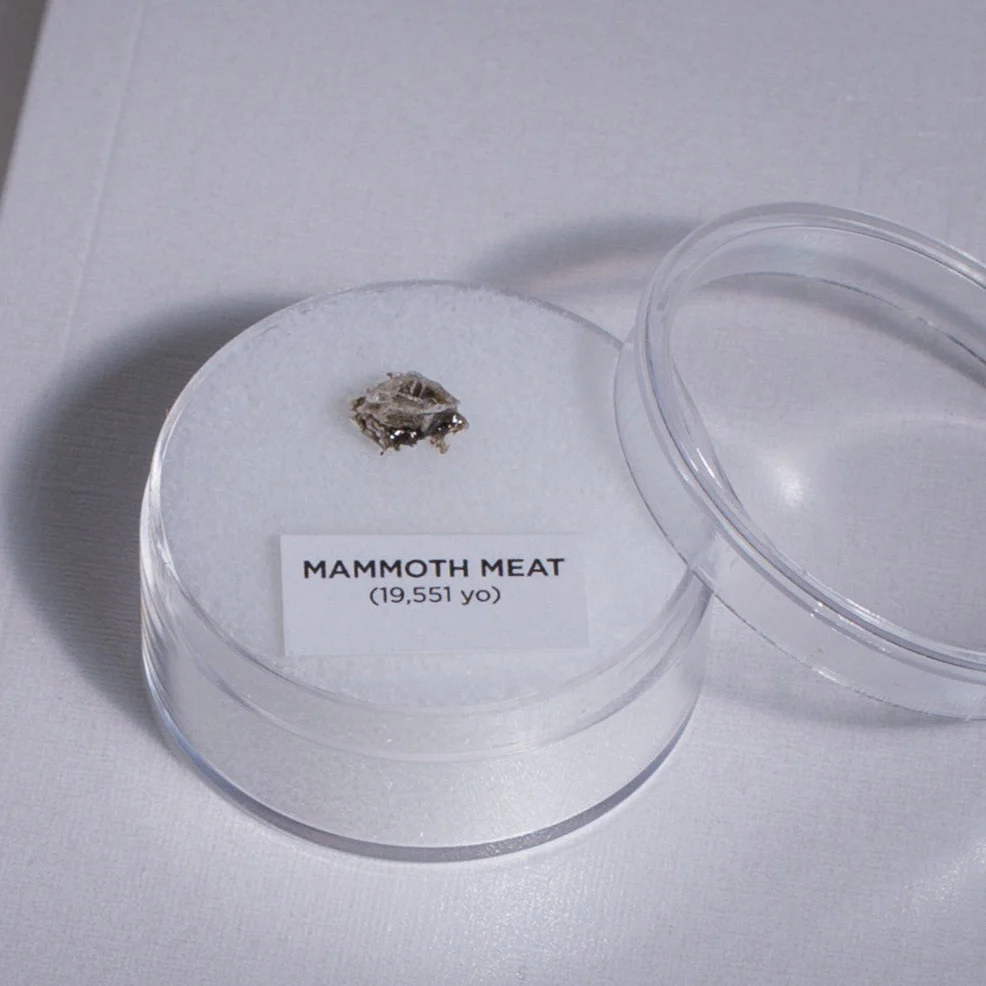 Mini Museum - Second Edition (TOUCH - 26 Specimens) - Image 3