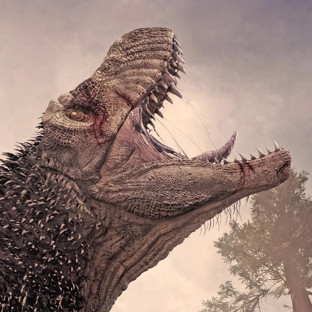 Tyrannosaurus Rex Tooth Fragment - Image 4