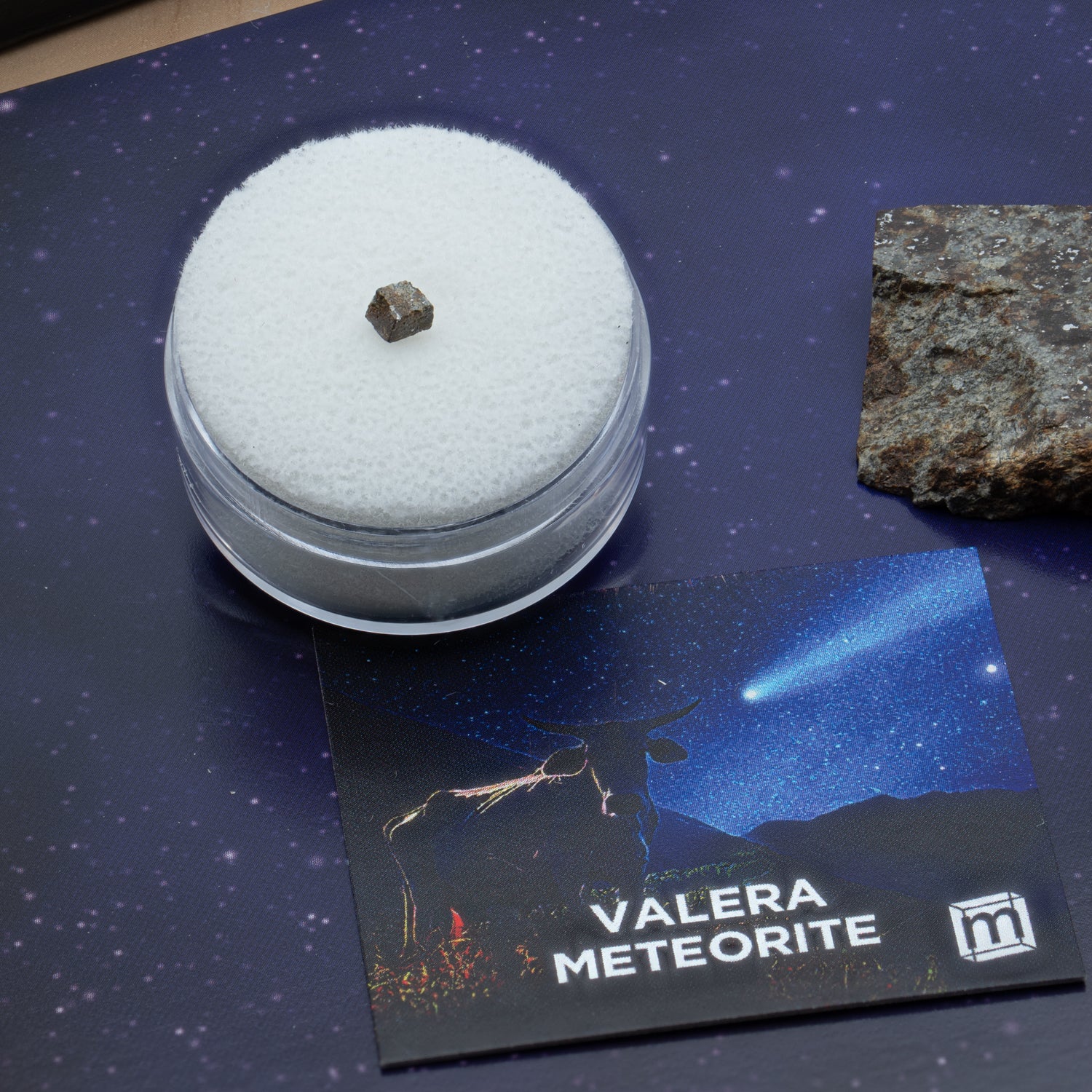 Valera "Cow Killer" Meteorite - Image 4